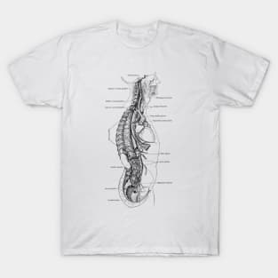 Human Body - Section T-Shirt